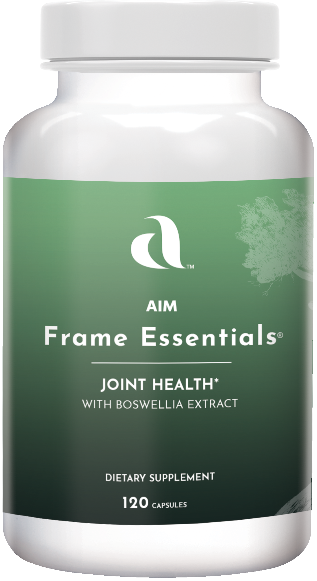 AIM Frame Essentials